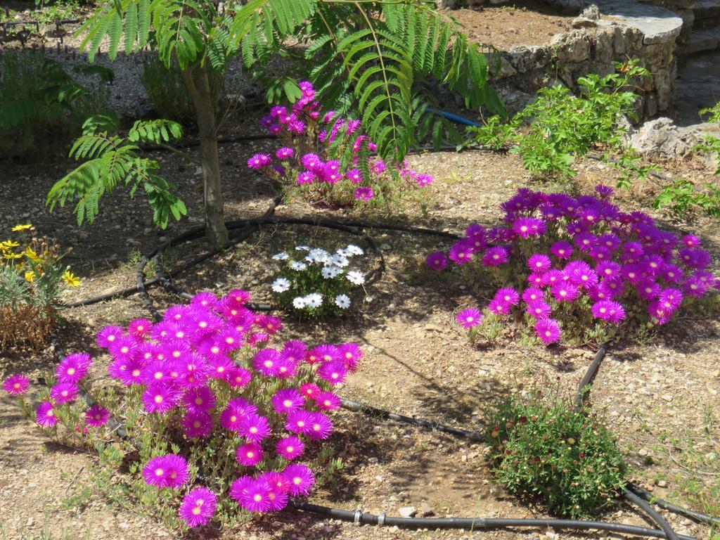 Le Clos Des Canebiers Bed & Breakfast Grasse Dış mekan fotoğraf